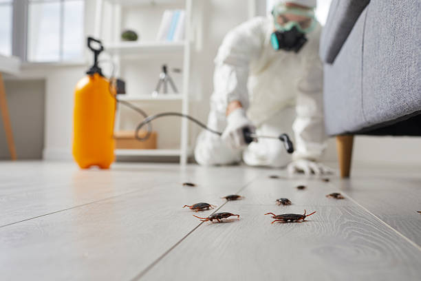 Commercial Kitchen Cockroach Control in Hood River